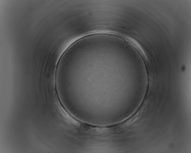 X0000091651244200708231214