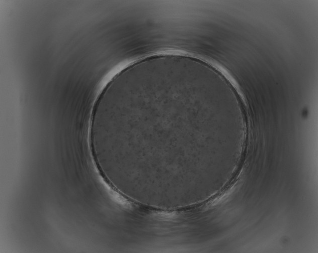 X0000091651245200708231214
