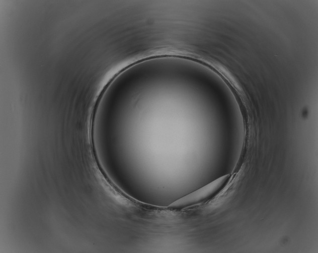 X0000091651246200708231214