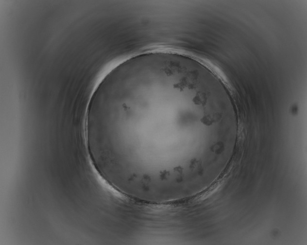 X0000091651247200708231214