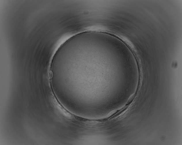 X0000091651248200708231214