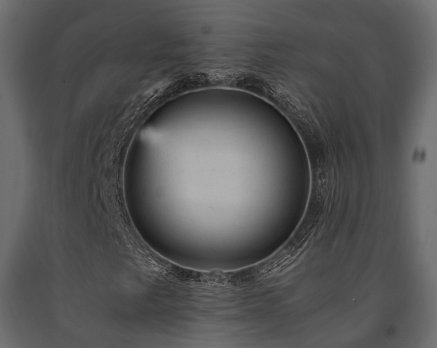 X0000091651249200708231213