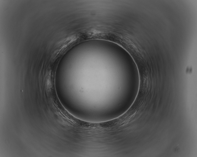 X0000091651250200708231213