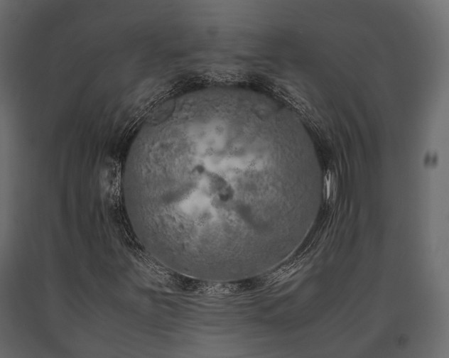 X0000091651251200708231213