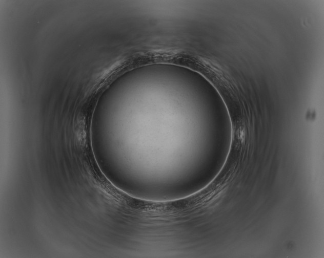 X0000091651252200708231213