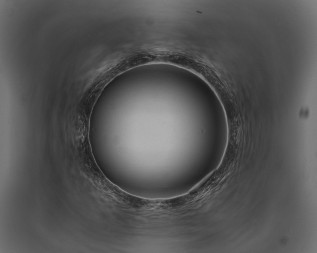 X0000091651253200708231213