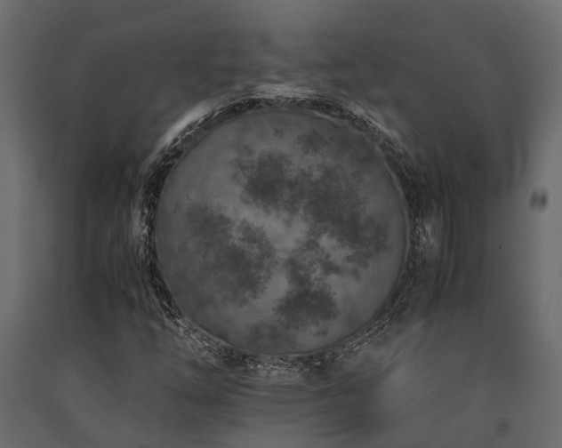 X0000091651254200708231213