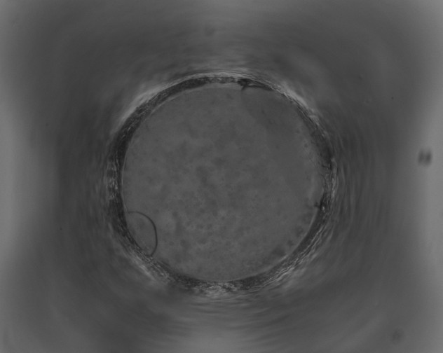 X0000091651255200708231213