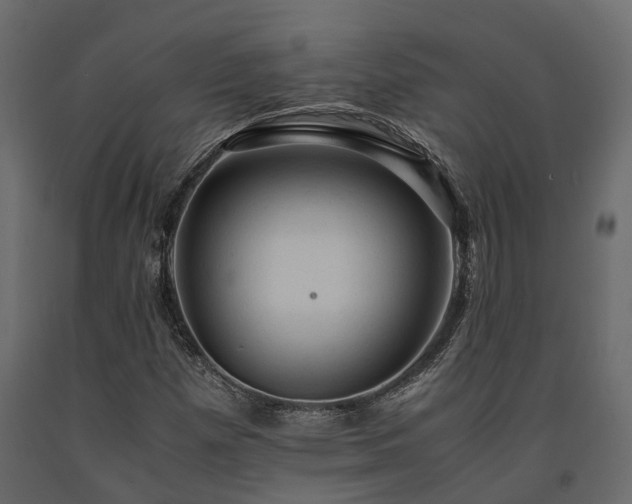 X0000091651257200708231213