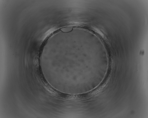 X0000091651259200708231213
