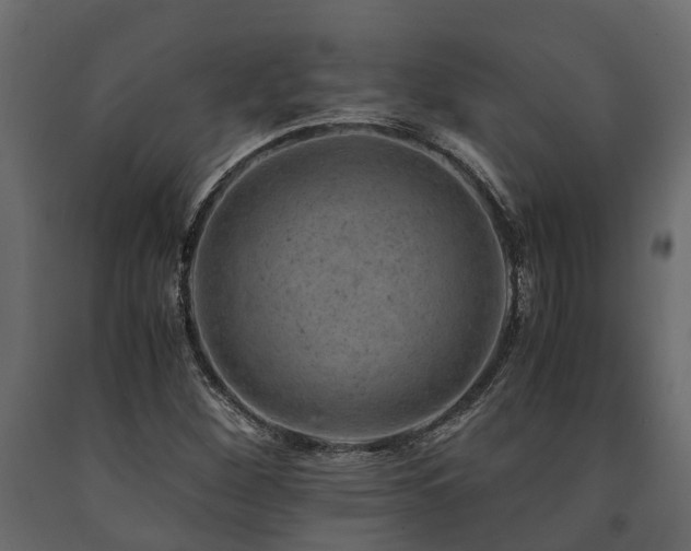 X0000091651260200708231213