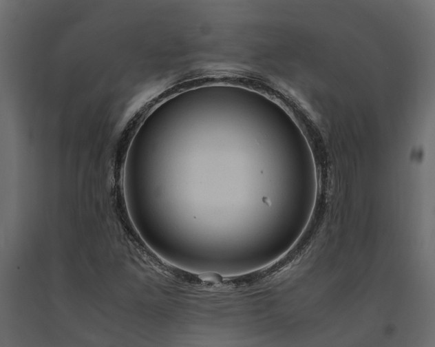 X0000091651261200708231213