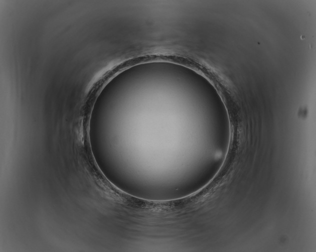 X0000091651262200708231213