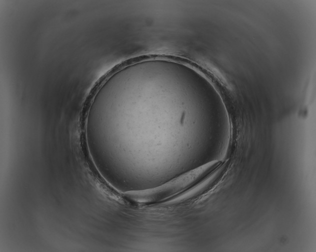 X0000091651264200708231213