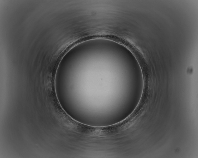 X0000091651265200708231213