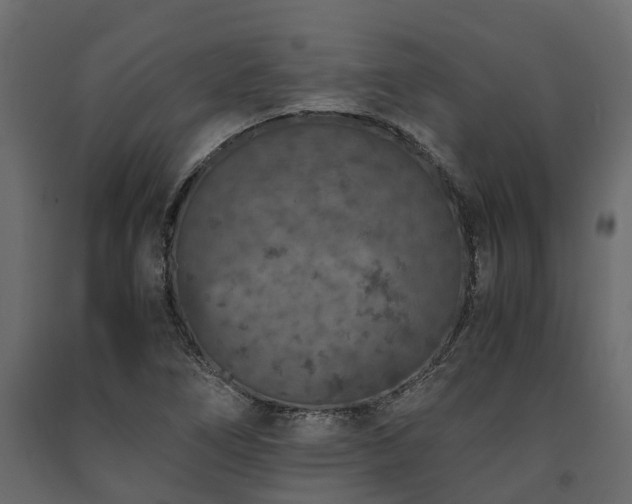 X0000091651266200708231213