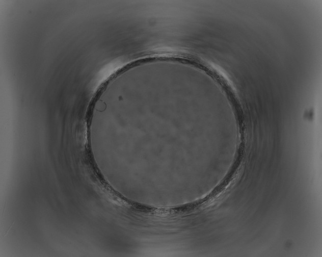 X0000091651267200708231213