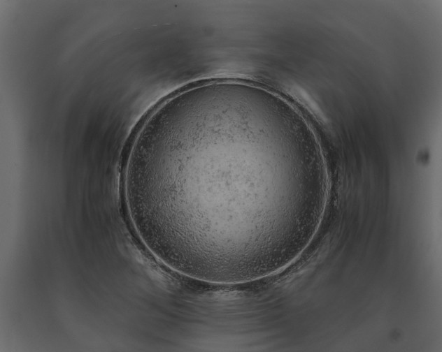 X0000091651268200708231213