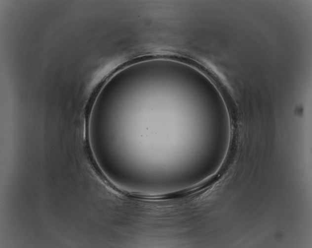 X0000091651269200708231213