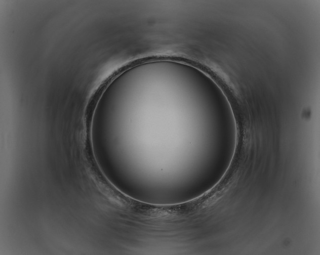 X0000091651270200708231213