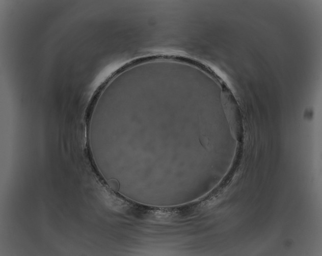 X0000091651271200708231213