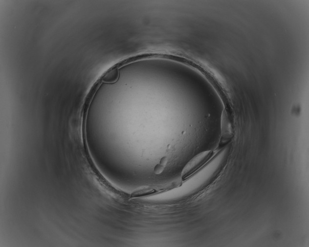 X0000091651272200708231213