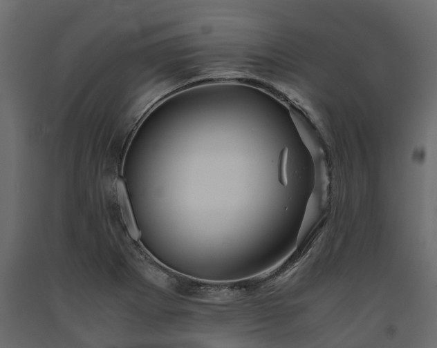 X0000091651273200708231213