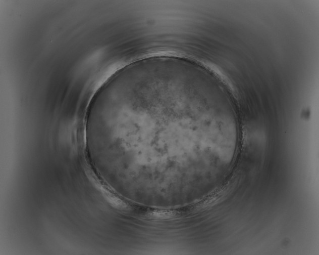 X0000091651274200708231213