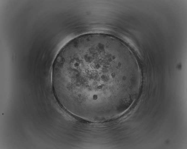 X0000091651275200708231213