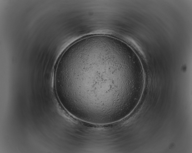 X0000091651276200708231213