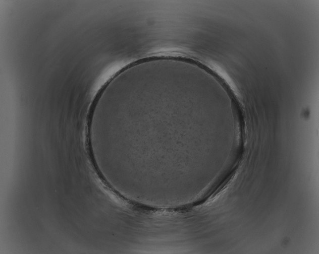 X0000091651277200708231213