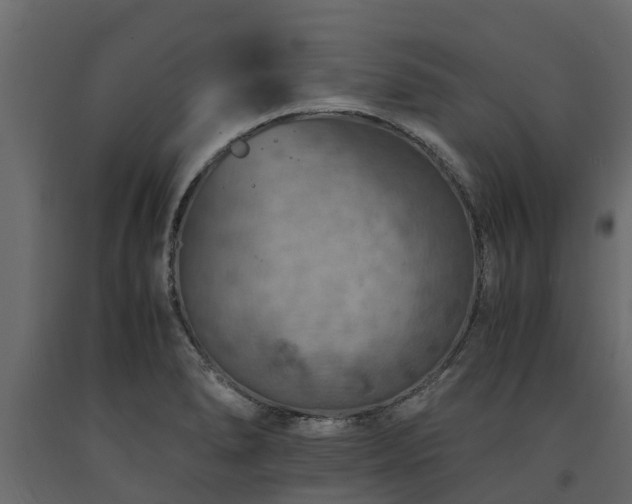 X0000091651278200708231213
