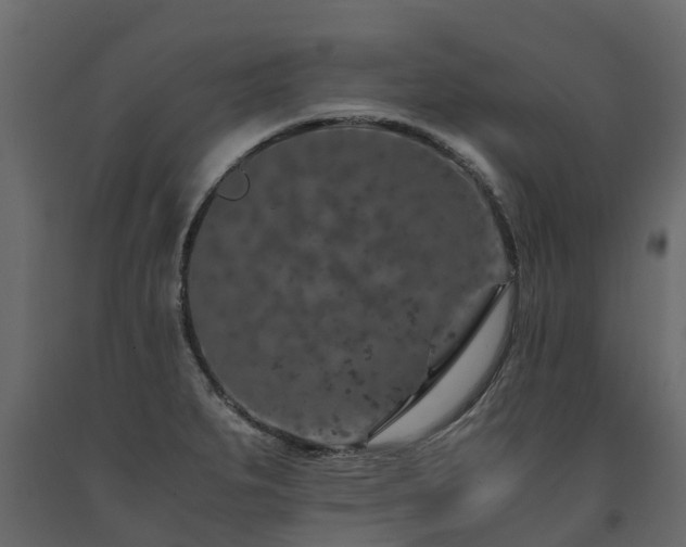 X0000091651279200708231213