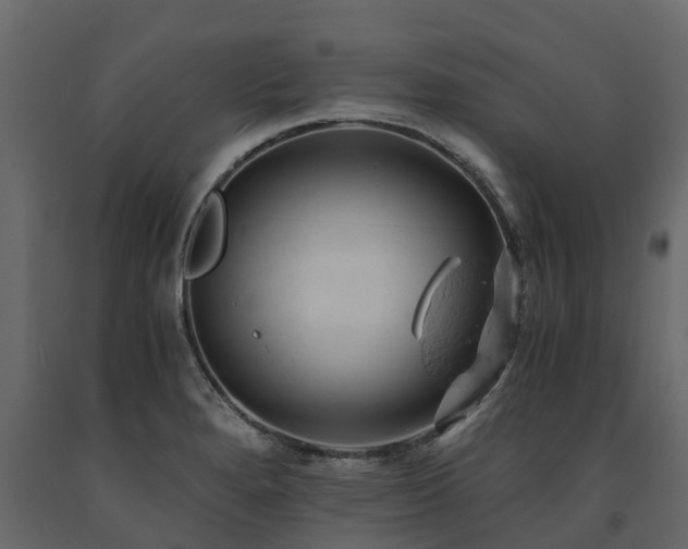 X0000091651280200708231213