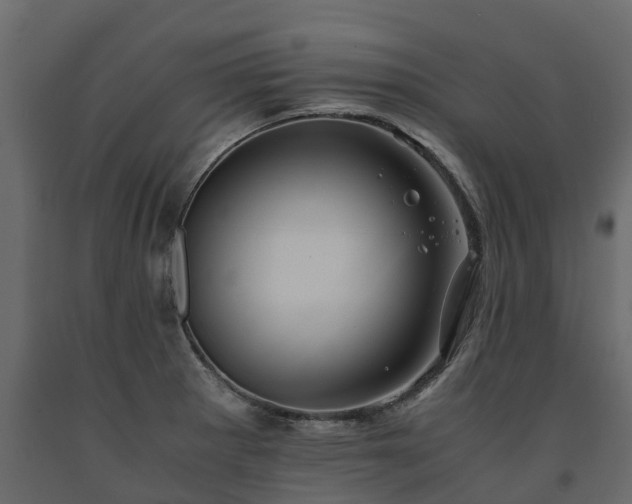 X0000091651281200708231213