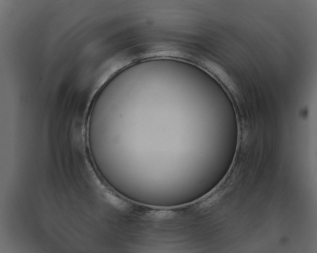 X0000091651282200708231213