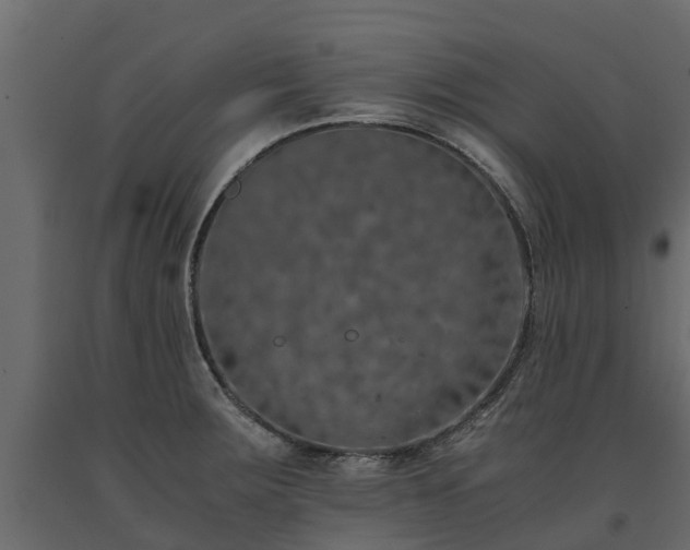 X0000091651283200708231213