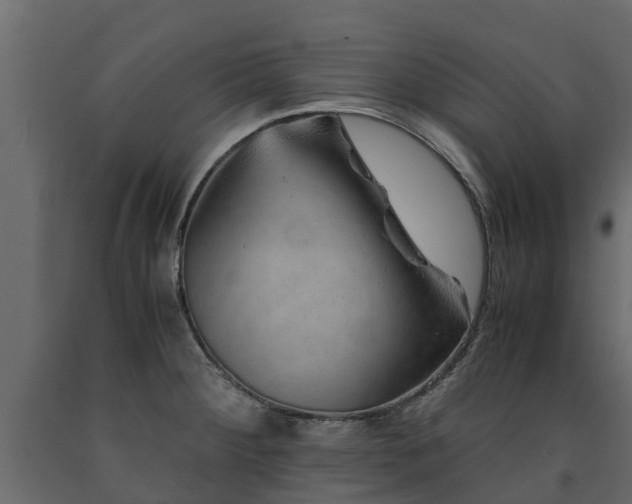X0000091651284200708231213