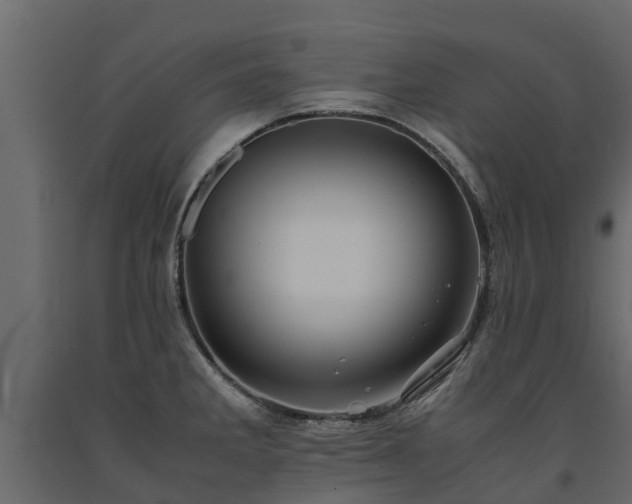 X0000091651285200708231213