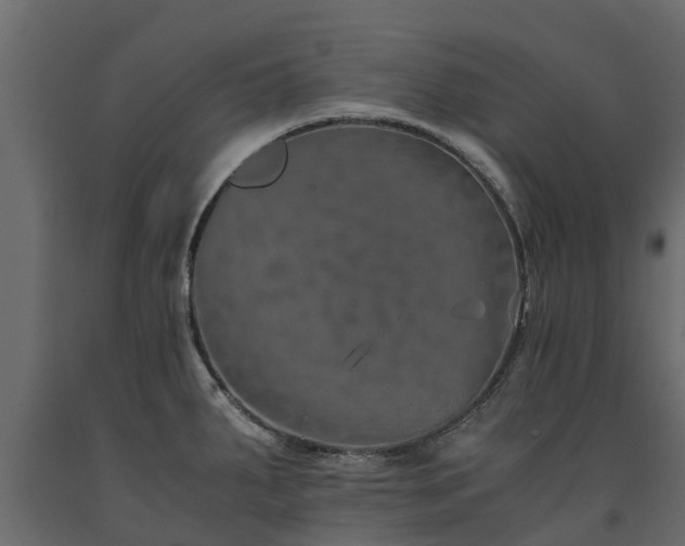 X0000091651287200708231213