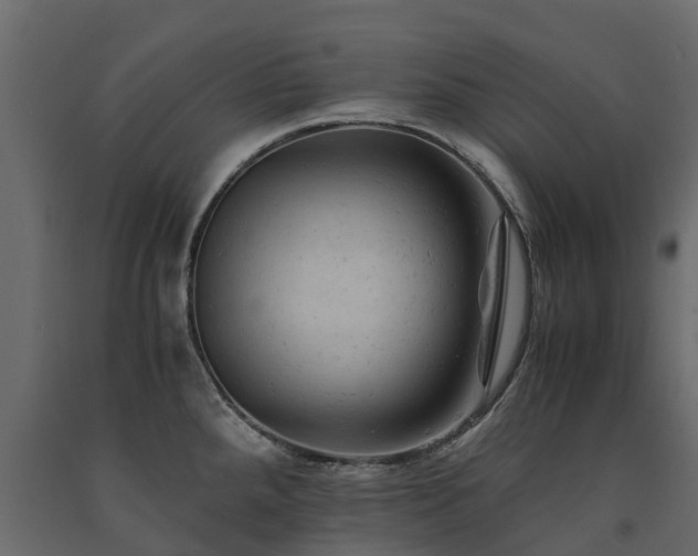 X0000091651288200708231213