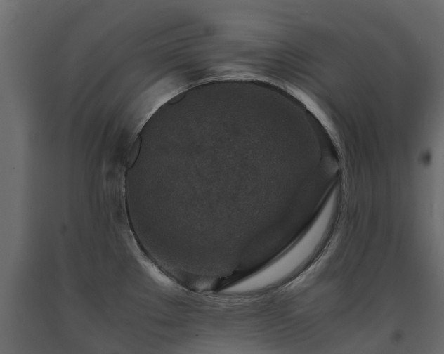 X0000091651289200708231213