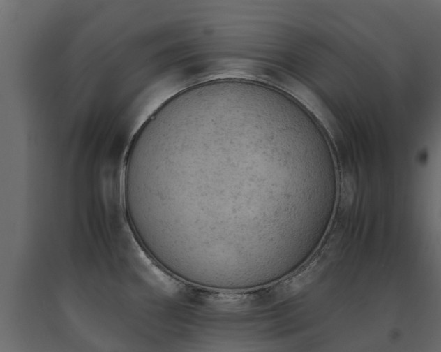 X0000091651290200708231213