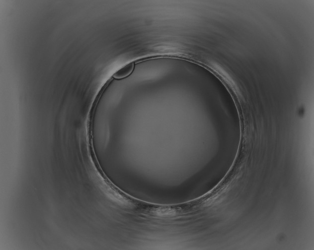 X0000091651291200708231213