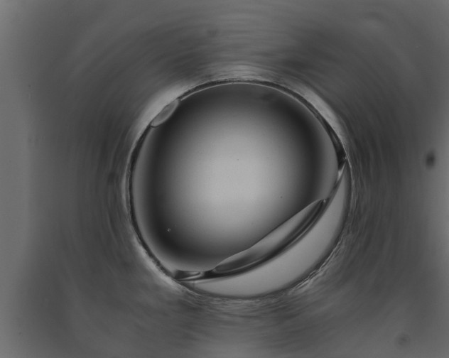 X0000091651293200708231213