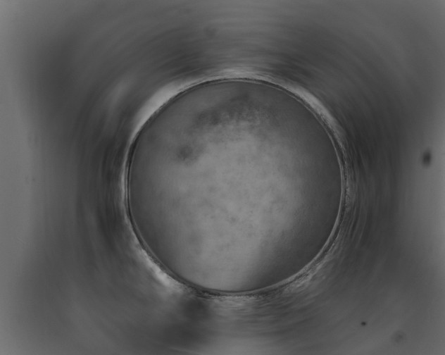 X0000091651294200708231213