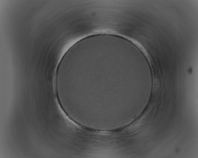X0000091651295200708231213
