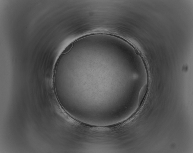 X0000091651296200708231213
