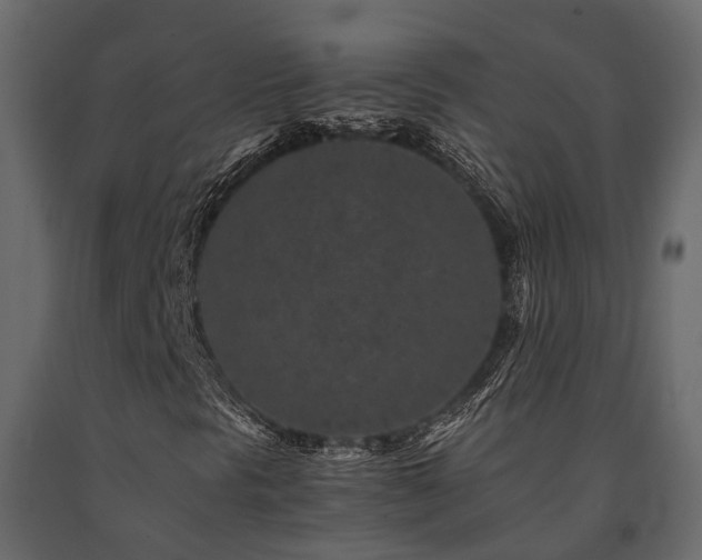 X0000091651297200708231212