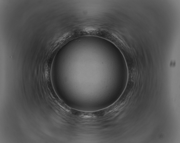 X0000091651298200708231212